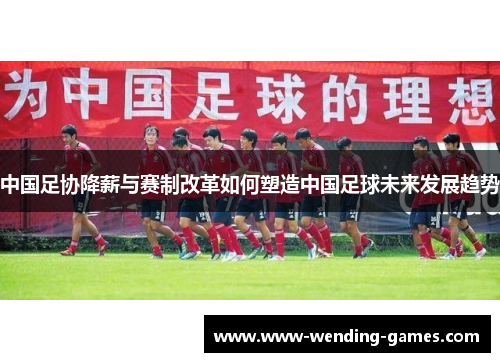 中国足协降薪与赛制改革如何塑造中国足球未来发展趋势