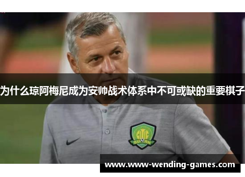 为什么琼阿梅尼成为安帅战术体系中不可或缺的重要棋子