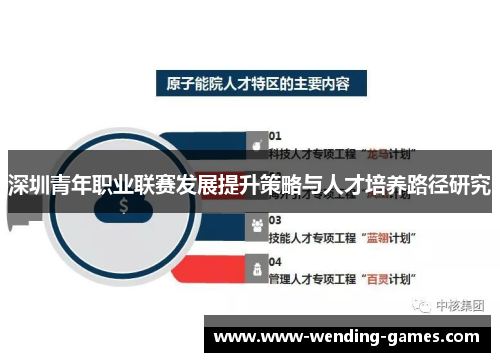 深圳青年职业联赛发展提升策略与人才培养路径研究