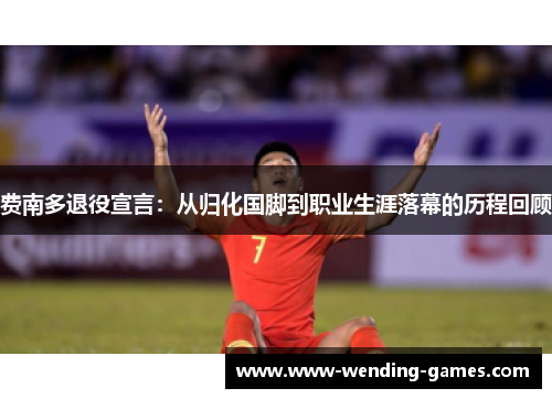 费南多退役宣言：从归化国脚到职业生涯落幕的历程回顾