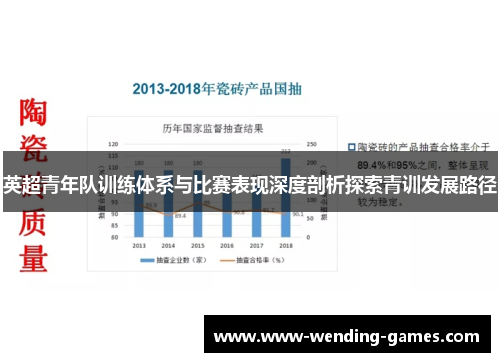 英超青年队训练体系与比赛表现深度剖析探索青训发展路径