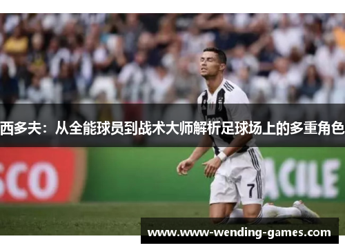 西多夫：从全能球员到战术大师解析足球场上的多重角色