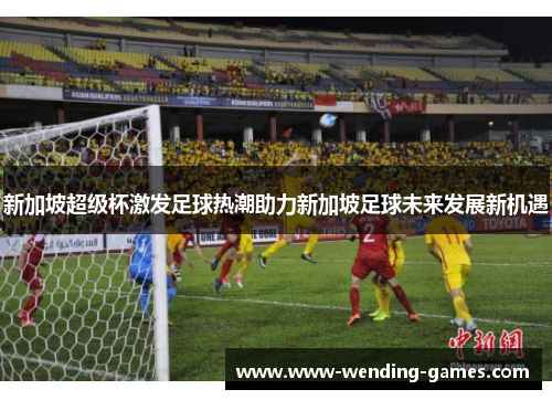 新加坡超级杯激发足球热潮助力新加坡足球未来发展新机遇 新加坡超级杯激发足球热潮助力新加坡足球未来发展新机遇