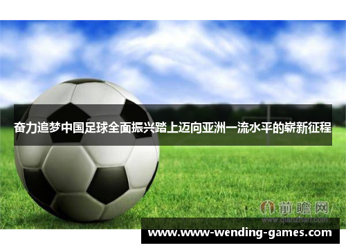 奋力追梦中国足球全面振兴踏上迈向亚洲一流水平的崭新征程 奋力追梦中国足球全面振兴踏上迈向亚洲一流水平的崭新征程