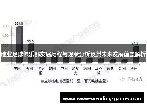 建业足球俱乐部发展历程与现状分析及其未来发展前景解析