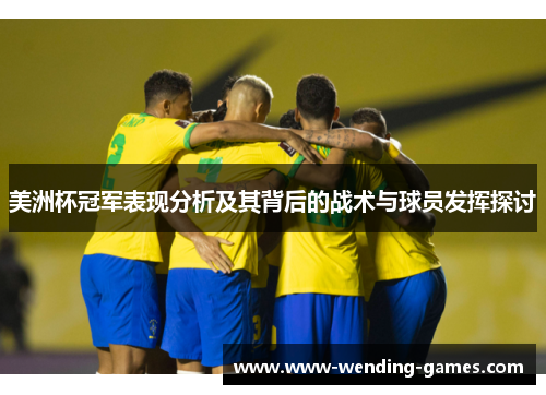 美洲杯冠军表现分析及其背后的战术与球员发挥探讨