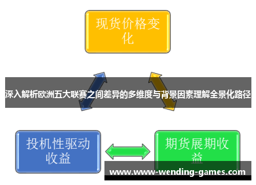 深入解析欧洲五大联赛之间差异的多维度与背景因素理解全景化路径 深入解析欧洲五大联赛之间差异的多维度与背景因素理解全景化路径