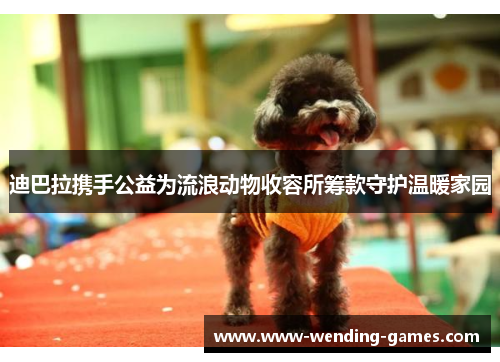 迪巴拉携手公益为流浪动物收容所筹款守护温暖家园
