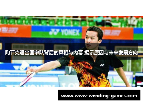 陶菲克退出国家队背后的真相与内幕 揭示原因与未来发展方向